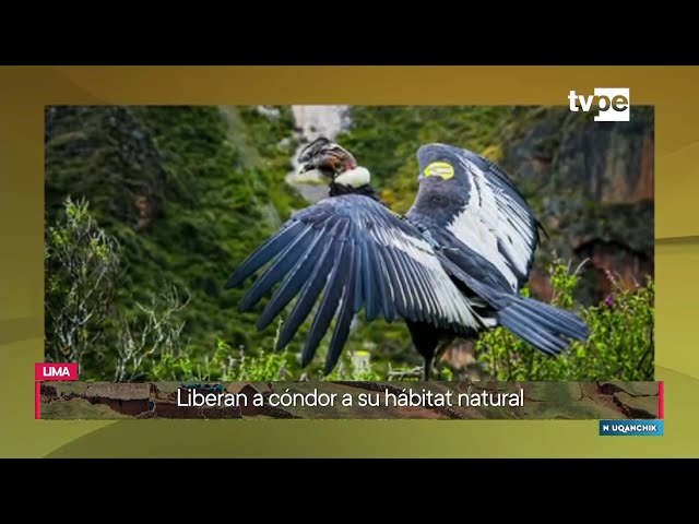 Ñuqanchik (30/05/2024) | TVPerú Noticias