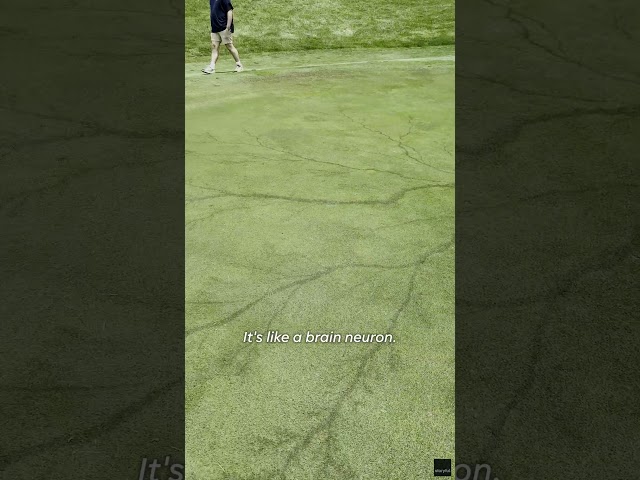 ⁣Lightning strike leaves 'neuron' like pattern on golf course #Shorts