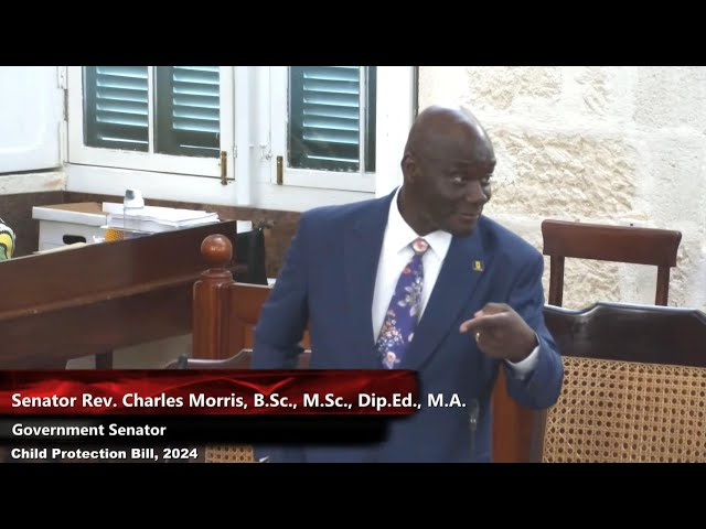⁣Senator says Child Protection Bill is a necessity