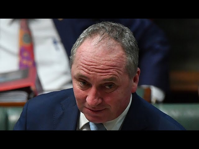 ⁣Barnaby Joyce slams Anthony Albanese as ‘weak’