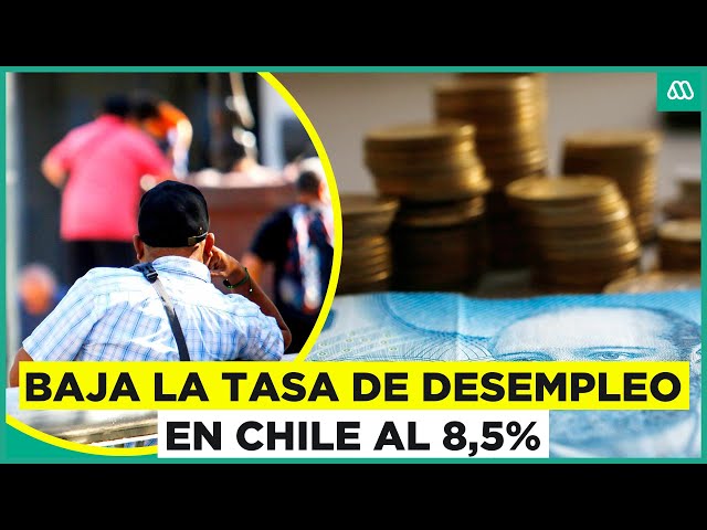 ⁣¿Disminuye la cesantía en Chile? Tasa de desempleo baja a un 8,5% en su segundo descenso anual