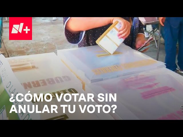 Elecciones 2024: ¿Cómo votar y no anular tu voto en el intento? - En Punto