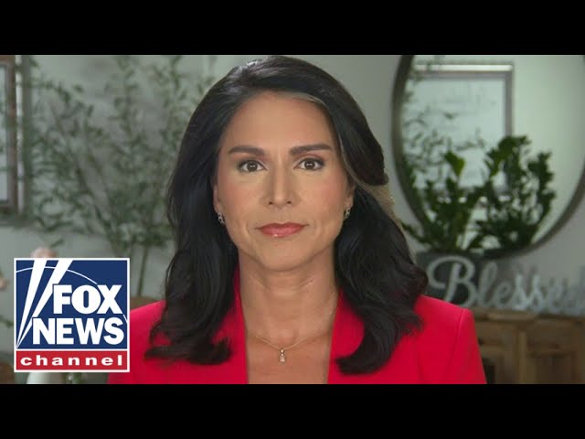 ⁣Tulsi Gabbard: 'This is a very serious wake-up call'