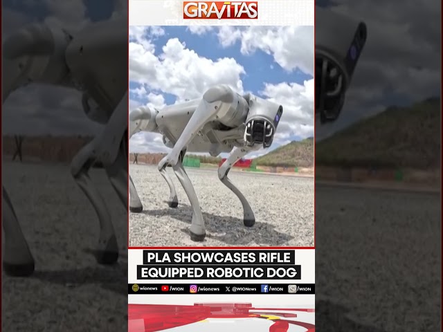 ⁣Gravitas: PLA showcases rifle-equipped robotic dog