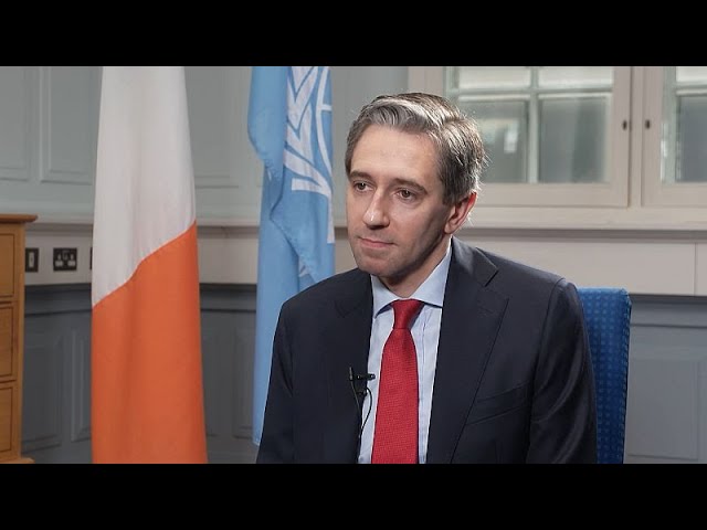 ⁣Simon Harris: Ireland recognised Palestine to push two-state solution