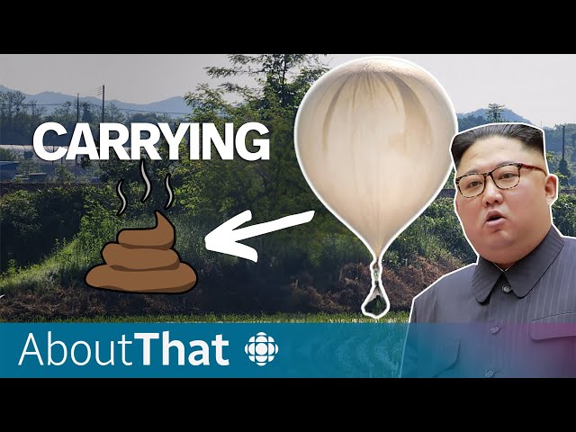 ⁣Why North Korea’s dumping garbage on South Korea