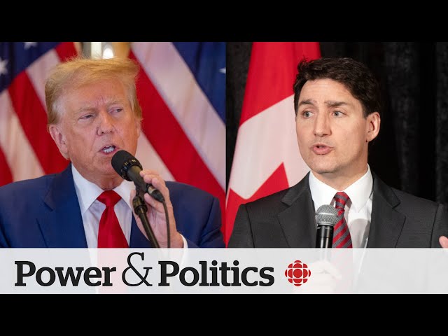 ⁣Political Pulse Panel: How does the Trump verdict impact Canadian politics?
