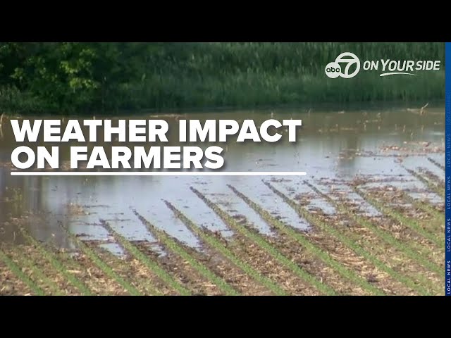 ⁣Arkansas farmers grapple with severe weather, impacting crops and livestock