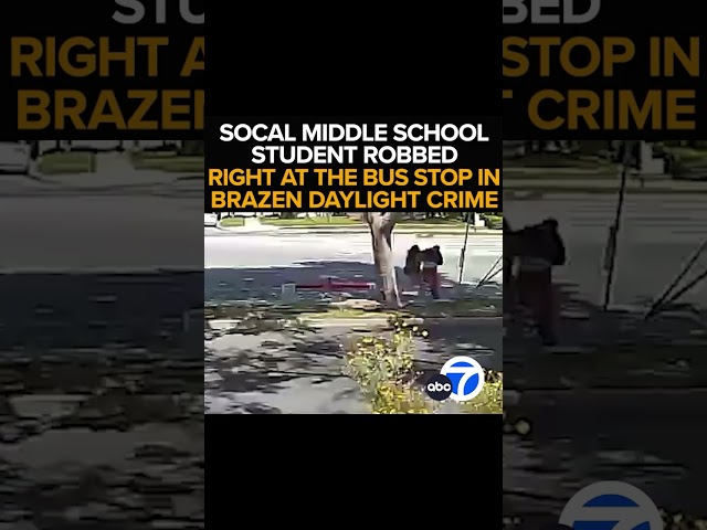 ⁣Video shows violent attack during robbery near bus stop in Long Beach