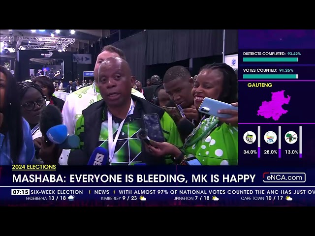 Everyone is bleeding, MK is happy - Mashaba