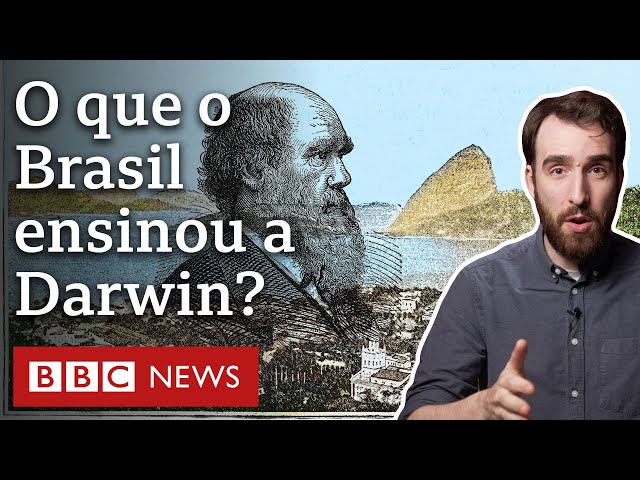 Como viagem de Darwin ao Brasil influenciou a Teoria da Evolução