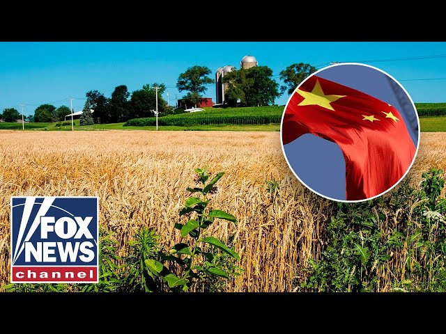 ⁣China could ‘flip the switch’ at any moment, GOP rep warns
