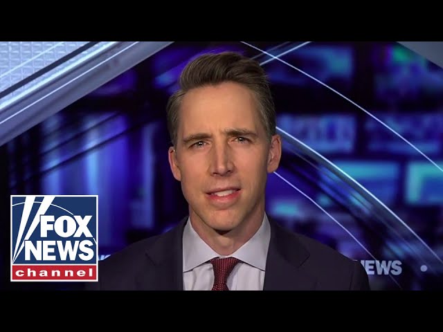 ⁣Josh Hawley: This is a 'total rigged job and they know it'
