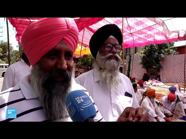⁣ريبورتاج: مزارعون في الهند مصممون على إلحاق الهزيمة بالحزب الحاكم في الانتخابات العامة • فرانس 24