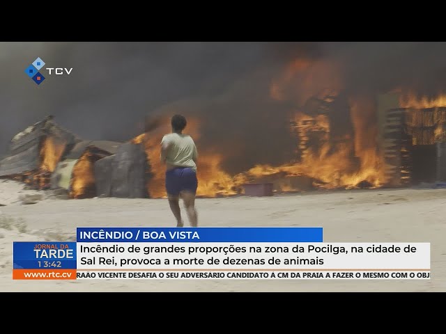 ⁣Incêndio de grandes proporções na zona da Pocilga, em Sal Rei, provoca a morte de dezenas de animais