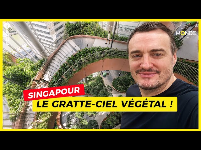⁣CapitaSpring : un gratte-ciel végétal à Singapour - Un Monde à part