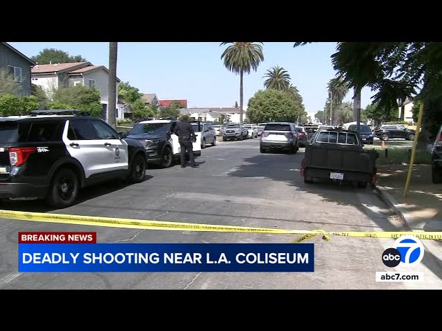 ⁣2 brothers killed in shooting near LA Coliseum; suspect at large