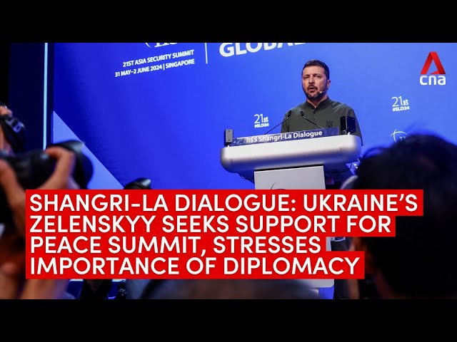 ⁣Shangri-La Dialogue: Ukraine’s Zelenskyy seeks support for peace summit