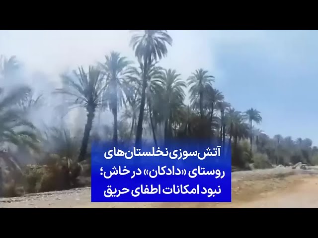 ⁣آتش‌سوزی نخلستان‌های روستای «دادکان» در خاش؛ نبود امکانات اطفای حریق