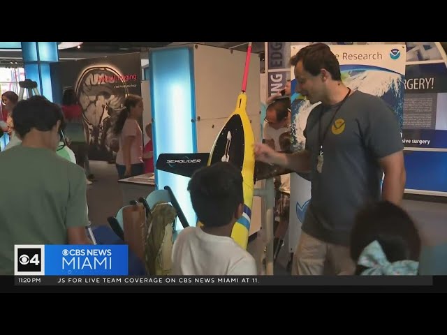 Fort Lauderdale's Museum of Discovery and Science holds event to ready people for hurricane sea