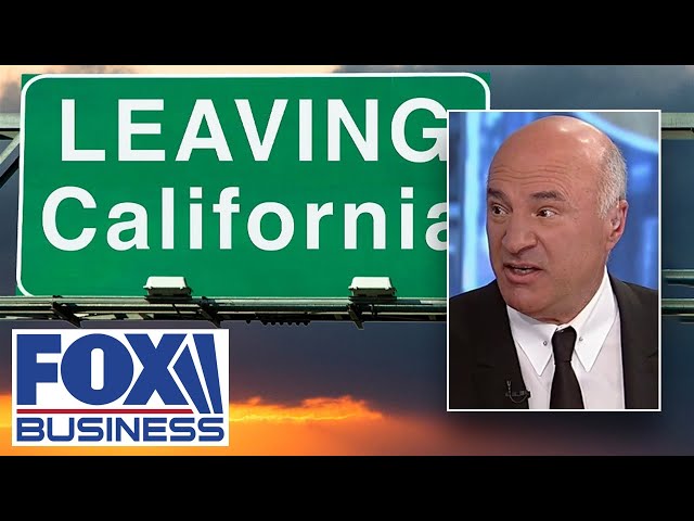⁣California is now a ‘basket case, war zone’ under Newsom: Kevin O’Leary
