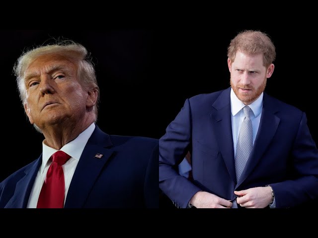 ⁣Donald Trump does ‘not look favourably’ on Prince Harry and Meghan Markle
