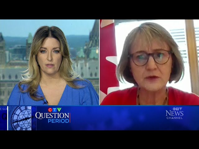⁣Canada's ambassador to Russia says relations with Kremlin 'unfriendly' | CTV Question