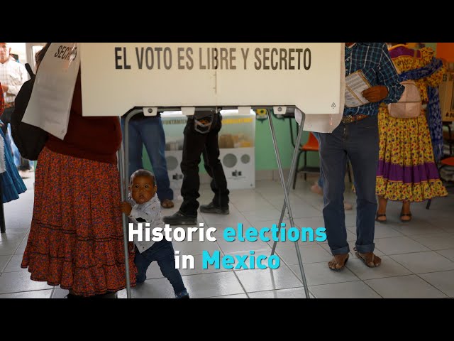 ⁣Mexico votes 2024