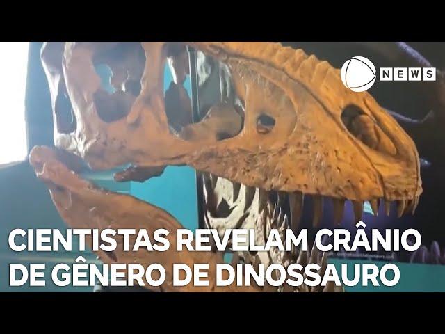 ⁣Cientistas revelam crânio de novo gênero de tiranossauro