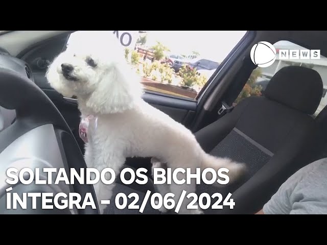 Soltando os Bichos - 02/06/2024