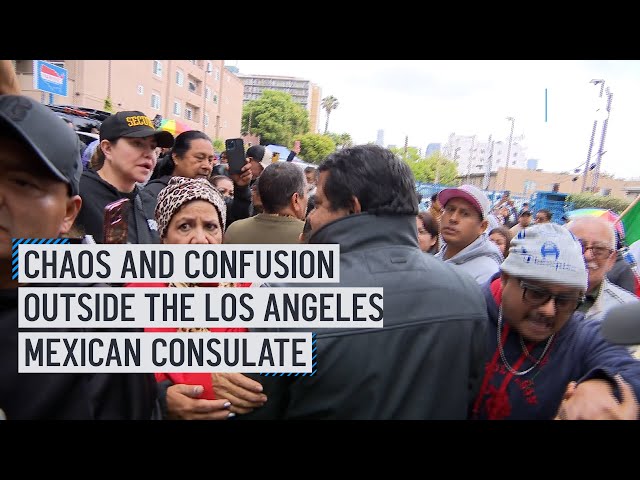 ⁣Chaos and confusion outside of the Los Angeles Mexican Consulate
