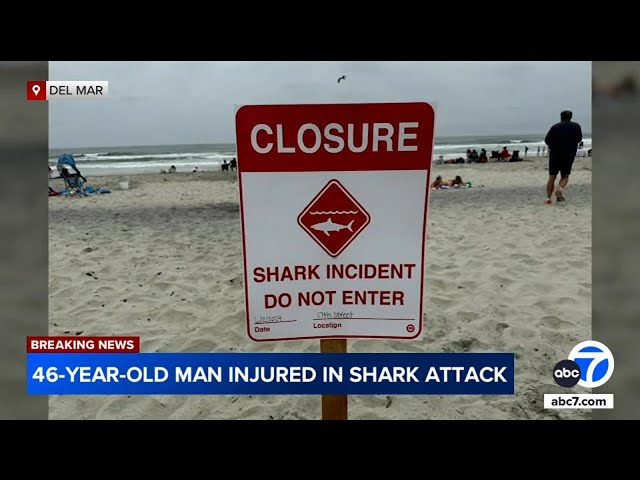 ⁣Shark attacks swimmer, leading to beach closure in San Diego County
