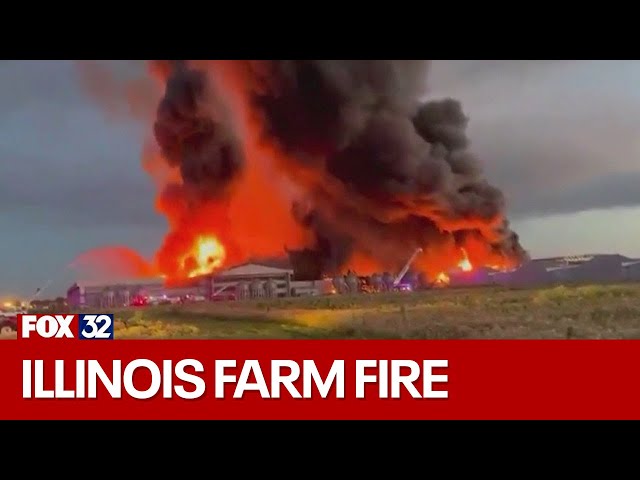 ⁣Massive fire at Illinois farm kills millions of chickens