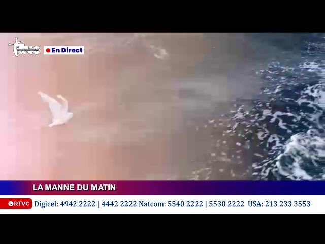 ⁣EN DIRECT | LA MANNE DU MATIN |  Juin 