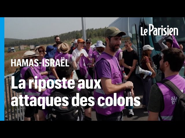 ⁣Israël : ces militants pacifistes qui protègent les convois humanitaires des attaques de colons