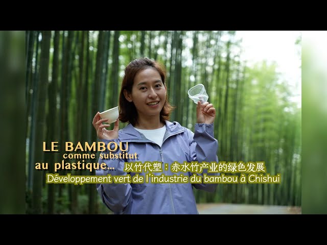 ⁣BAMBOU COMME SUBSTITUT AU PLASTIQUE : Développement vert de l’industrie du bambou à Chishui