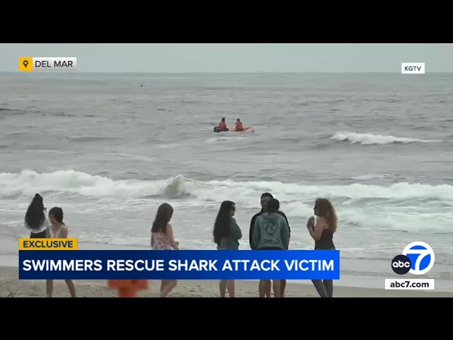 ⁣Witnesses rush into ocean to help swimmer attacked by shark near San Diego