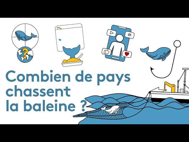 A votre avis, combien de pays chassent encore la baleine ?