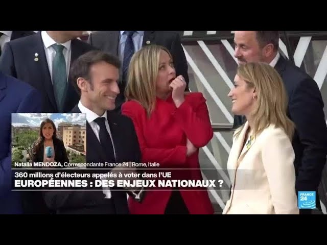 ⁣Alain Guillemoles : "Les élections européennes, des scrutins nationaux ?" • FRANCE 24