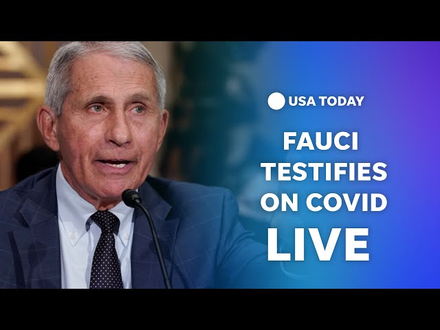 ⁣Watch live: Fauci testifies on COVID origins