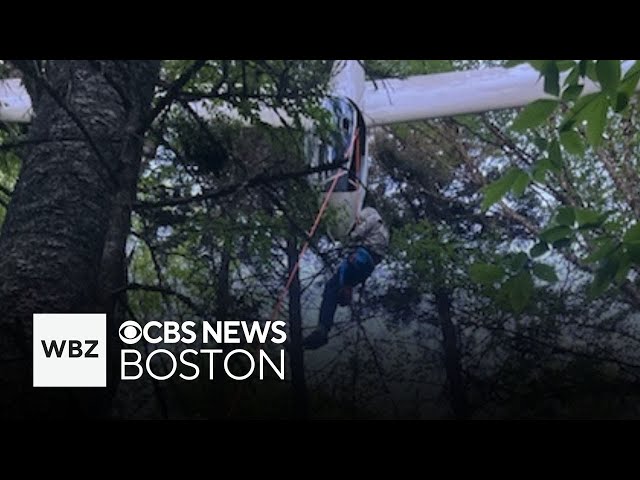 ⁣84-year-old glider pilot in New Hampshire rescued from tree and more top stories