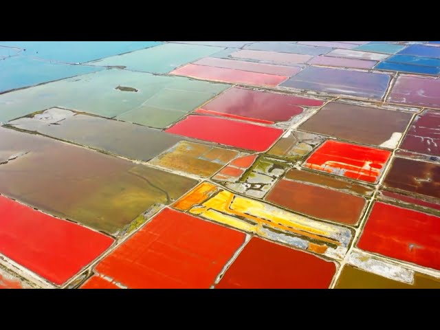 ⁣Salt lake in northern China turns into giant, multicolored palette