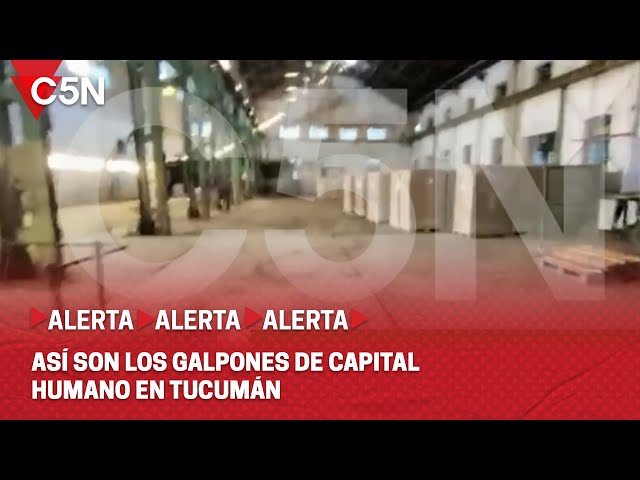 ⁣ESCÁNDALO en CAPITAL HUMANO: ESTOS son los GALPONES en TUCUMÁN