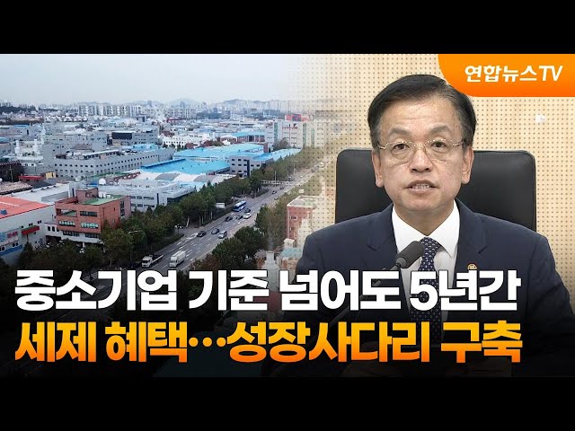 ⁣중소기업 기준 넘어도 5년간 세제 혜택…성장사다리 구축 / 연합뉴스TV (YonhapnewsTV)