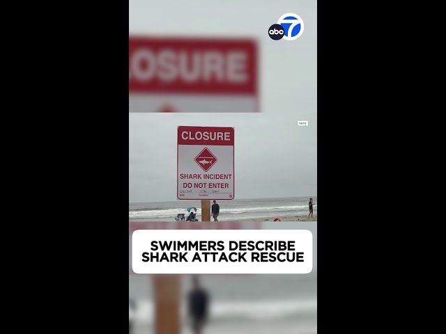 ⁣Shark attack prompts beach closure off San Diego County