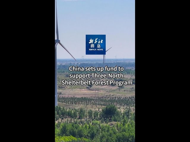 ⁣Xinhua News | China sets up fund to support Three-North Shelterbelt Forest Program
