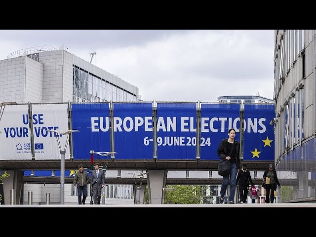 ⁣EU elections: What are the biggest issues at stake?