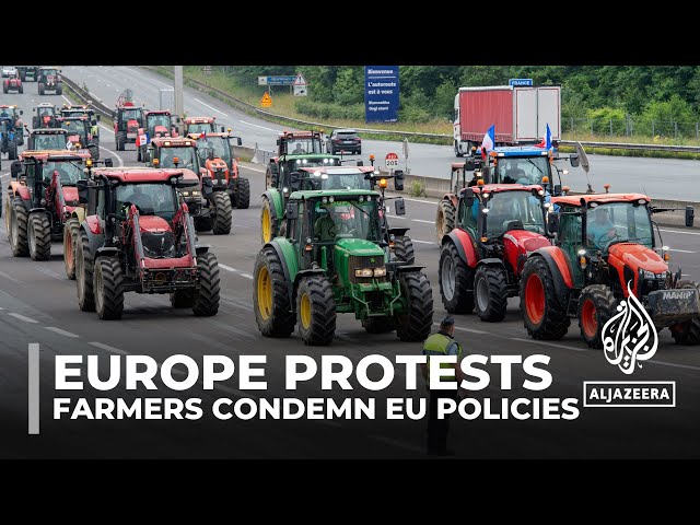 ⁣Spanish farmers protest: Demonstrators condemn EU policies