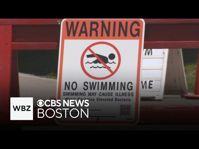 ⁣Beaches close around Massachusetts due to excessive bacteria