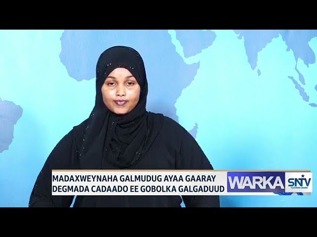 WARKA HABEEN EE SNTV 03.06.2024